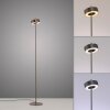 Paul Neuhaus Q-Serie Q-Rotate Lampa stojąca LED Brązowy, 1-punktowy, Zdalne sterowanie