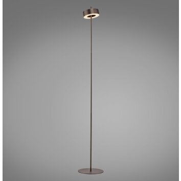 Paul Neuhaus Q-Serie Q-Rotate Lampa stojąca LED Brązowy, 1-punktowy, Zdalne sterowanie