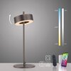 Oświetlenie Paul Neuhaus Q-Rotate Lampa stołowa LED Brązowy, 1-punktowy, Zdalne sterowanie