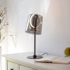 Oświetlenie Paul Neuhaus Zula Lampa stołowa LED Czarny, 1-punktowy