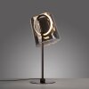 Oświetlenie Paul Neuhaus Zula Lampa stołowa LED Czarny, 1-punktowy