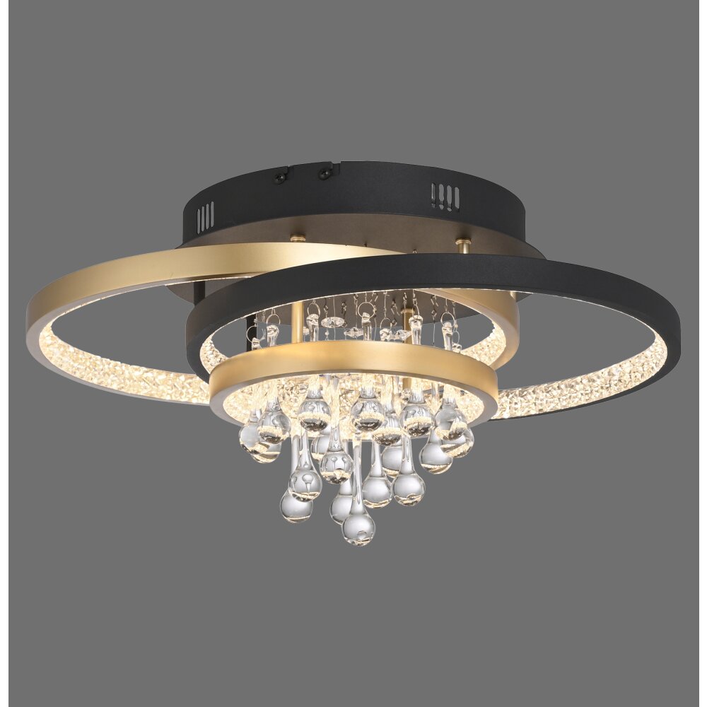 Oświetlenie Paul Neuhaus Rotazo Lampa sufitowa LED Złoty, Czarny, 1-punktowy main product photo