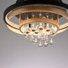 Oświetlenie Paul Neuhaus Rotazo Lampa sufitowa LED Złoty, Czarny, 1-punktowy
