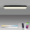 Oświetlenie Paul Neuhaus Q-Magong Lampa sufitowa LED Czarny, 1-punktowy, Zdalne sterowanie
