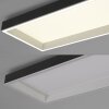 Oświetlenie Paul Neuhaus Q-Magong Lampa sufitowa LED Czarny, 1-punktowy, Zdalne sterowanie