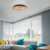 Paul Neuhaus Q-Serie Q-Akustik lampa ścienno-sufitowa LED brązowy, czarny, 1-punktowy, Zdalne sterowanie