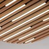 Paul Neuhaus Q-Serie Q-Akustik lampa ścienno-sufitowa LED brązowy, czarny, 1-punktowy, Zdalne sterowanie