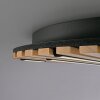Paul Neuhaus Q-Serie Q-Akustik lampa ścienno-sufitowa LED brązowy, czarny, 1-punktowy, Zdalne sterowanie