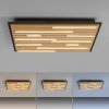 Paul Neuhaus Q-Serie Q-Akustik lampa ścienno-sufitowa LED brązowy, czarny, 1-punktowy, Zdalne sterowanie