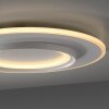 Oświetlenie Paul Neuhaus Q-Kalina Lampa sufitowa LED Biały, 1-punktowy, Zdalne sterowanie