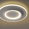 Oświetlenie Paul Neuhaus Q-Kalina Lampa sufitowa LED Biały, 1-punktowy, Zdalne sterowanie