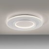 Oświetlenie Paul Neuhaus Q-Kalina Lampa sufitowa LED Biały, 1-punktowy, Zdalne sterowanie