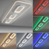 Oświetlenie Paul Neuhaus Q-Kalina Lampa sufitowa LED Biały, 1-punktowy, Zdalne sterowanie