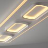Oświetlenie Paul Neuhaus Q-Kalina Lampa sufitowa LED Biały, 1-punktowy, Zdalne sterowanie