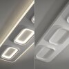 Oświetlenie Paul Neuhaus Q-Kalina Lampa sufitowa LED Biały, 1-punktowy, Zdalne sterowanie