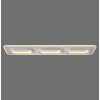 Paul Neuhaus Q-Serie Q-Kalina Lampa sufitowa LED Biały, 1-punktowy, Zdalne sterowanie