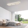 Paul Neuhaus Q-Serie Q-Kalina Lampa sufitowa LED Biały, 1-punktowy, Zdalne sterowanie