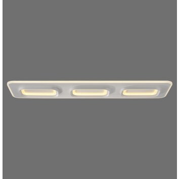 Paul Neuhaus Q-Serie Q-Kalina Lampa sufitowa LED Biały, 1-punktowy, Zdalne sterowanie