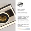 Oświetlenie Paul Neuhaus Traforo Lampa sufitowa LED Czarny, 1-punktowy, Zdalne sterowanie