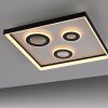 Oświetlenie Paul Neuhaus Dune Lampa sufitowa LED Czarny, 1-punktowy, Zdalne sterowanie