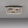 Oświetlenie Paul Neuhaus Dune Lampa sufitowa LED Czarny, 1-punktowy, Zdalne sterowanie