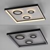 Oświetlenie Paul Neuhaus Dune Lampa sufitowa LED Czarny, 1-punktowy, Zdalne sterowanie