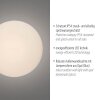 Oświetlenie Paul Neuhaus Olaf lampa ścienno-sufitowa LED szary, 1-punktowy