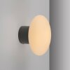 Oświetlenie Paul Neuhaus Olaf lampa ścienno-sufitowa LED szary, 1-punktowy