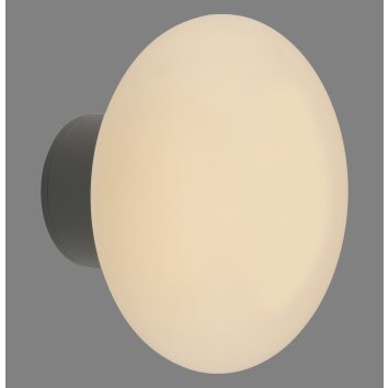 Oświetlenie Paul Neuhaus Olaf lampa ścienno-sufitowa LED szary, 1-punktowy