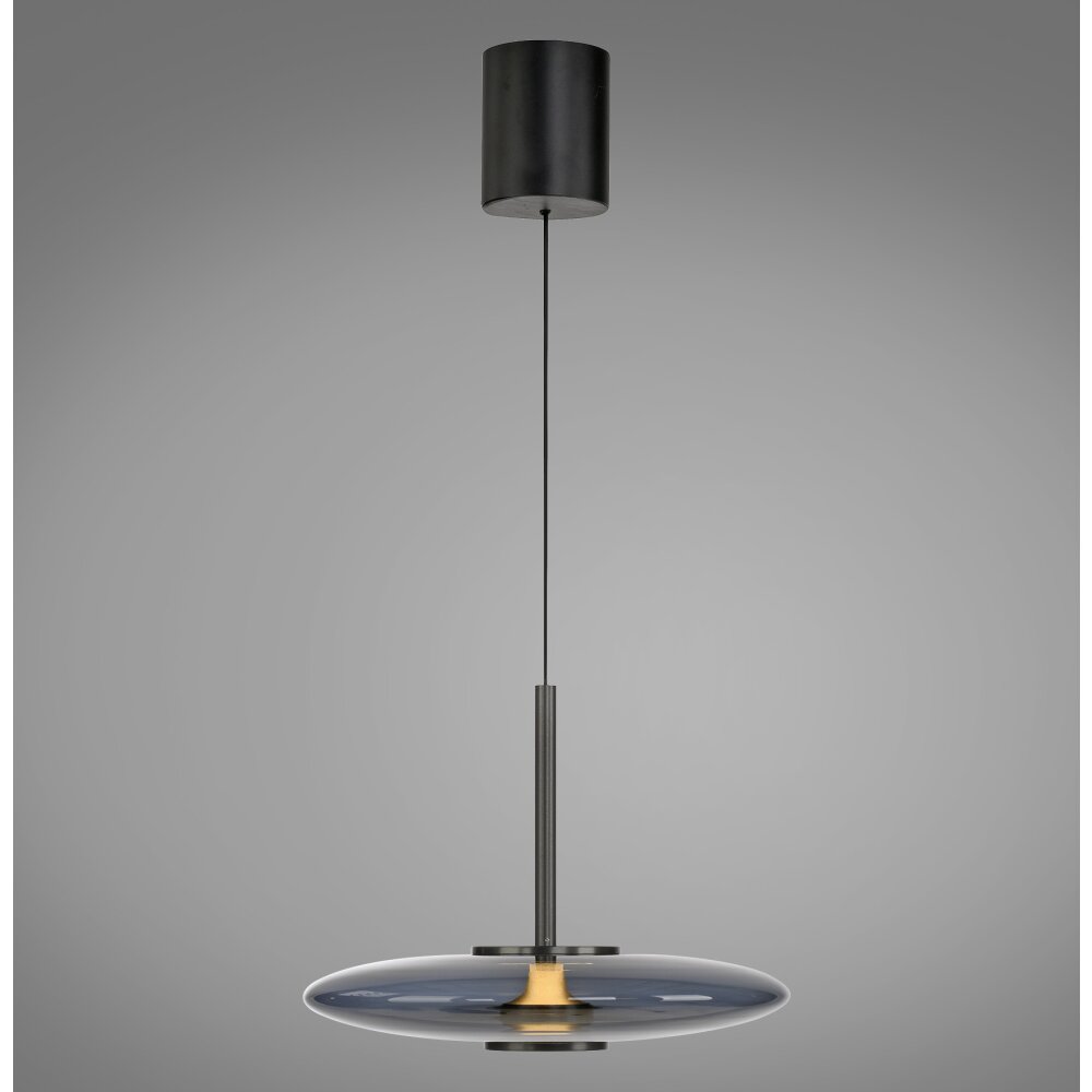 Oświetlenie Paul Neuhaus E-Vitrum Lampa wisząca LED Szary, 2-punktowe, Zdalne sterowanie main product photo