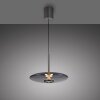Oświetlenie Paul Neuhaus E-Vitrum Lampa wisząca LED Szary, 2-punktowe, Zdalne sterowanie