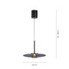Oświetlenie Paul Neuhaus E-Vitrum Lampa wisząca LED Szary, 2-punktowe, Zdalne sterowanie