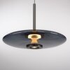 Oświetlenie Paul Neuhaus E-Vitrum Lampa wisząca LED Szary, 2-punktowe, Zdalne sterowanie