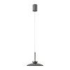 Oświetlenie Paul Neuhaus Moon Lampa wisząca LED Szary, 2-punktowe