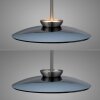 Oświetlenie Paul Neuhaus E-Moon Lampa wisząca LED Szary, 2-punktowe, Zdalne sterowanie