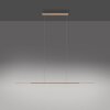 Oświetlenie Paul Neuhaus Surface Lampa wisząca LED Brązowy, 1-punktowy
