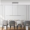Oświetlenie Paul Neuhaus Surface Lampa wisząca LED Szary, 1-punktowy
