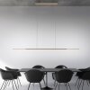 Oświetlenie Paul Neuhaus Surface Lampa wisząca LED Brązowy, 1-punktowy