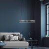 Oświetlenie Paul Neuhaus E-Loop Lampa wisząca LED Szary, 2-punktowe, Zdalne sterowanie