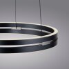 Oświetlenie Paul Neuhaus E-Loop Lampa wisząca LED Szary, 2-punktowe, Zdalne sterowanie
