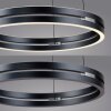 Oświetlenie Paul Neuhaus E-Loop Lampa wisząca LED Szary, 2-punktowe, Zdalne sterowanie