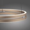 Oświetlenie Paul Neuhaus E-Loop Lampa wisząca LED Mosiądz, 2-punktowe, Zdalne sterowanie