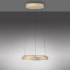 Oświetlenie Paul Neuhaus E-Loop Lampa wisząca LED Mosiądz, 2-punktowe, Zdalne sterowanie