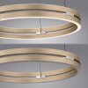 Oświetlenie Paul Neuhaus E-Loop Lampa wisząca LED Mosiądz, 2-punktowe, Zdalne sterowanie