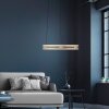 Oświetlenie Paul Neuhaus E-Loop Lampa wisząca LED Mosiądz, 2-punktowe, Zdalne sterowanie
