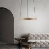 Oświetlenie Paul Neuhaus E-Clipse Lampa wisząca LED Brązowy, 2-punktowe, Zdalne sterowanie