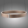 Oświetlenie Paul Neuhaus E-Clipse Lampa wisząca LED Brązowy, 2-punktowe, Zdalne sterowanie