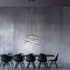 Oświetlenie Paul Neuhaus Rings Lampa wisząca LED Szary, 1-punktowy, Zdalne sterowanie