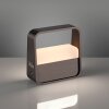 Oświetlenie Paul Neuhaus Go Lampa stołowa LED Brązowy, 1-punktowy