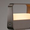 Oświetlenie Paul Neuhaus Go Lampa stołowa LED Brązowy, 1-punktowy